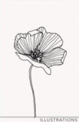 Illustrations~ Paper & Ink Canvas ~Poppy Panel